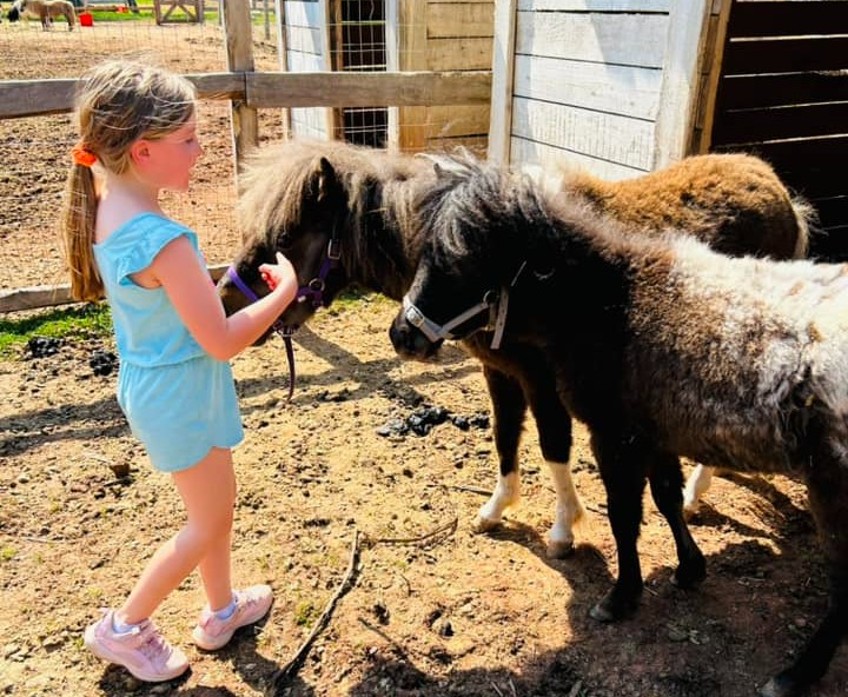 Whispering Hope Farm